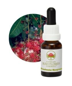 Freshwater Mangrove, 15 ml